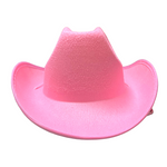 Pink Felt Cowboy Hat